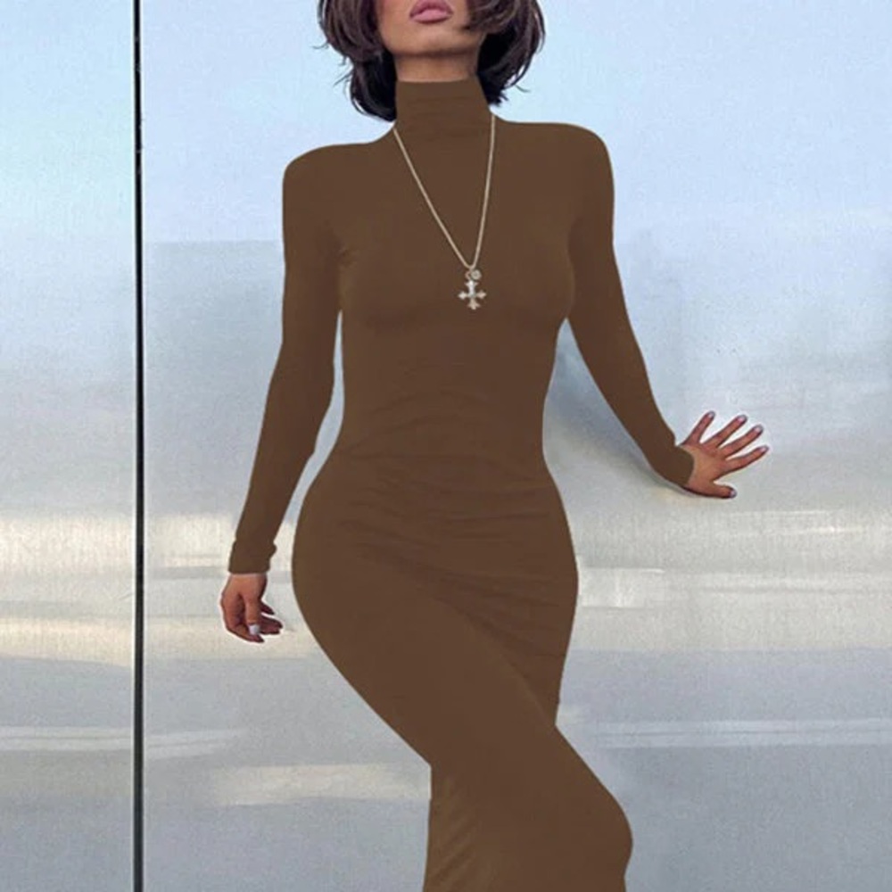 Long Sleeve Turtleneck Maxi Dress in Brown